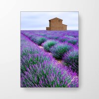 Haus am Lavendelfeld - Akustikbild