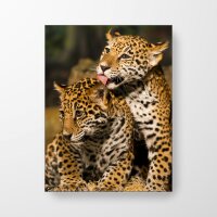 Tierbabys Leoparden - Spanntuch